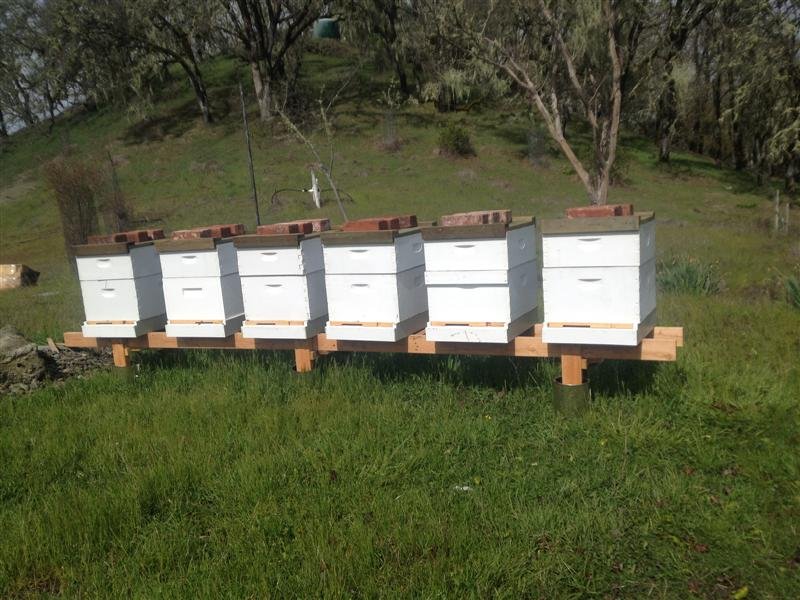 Lakeview beehives from the Half Moon Honey collection